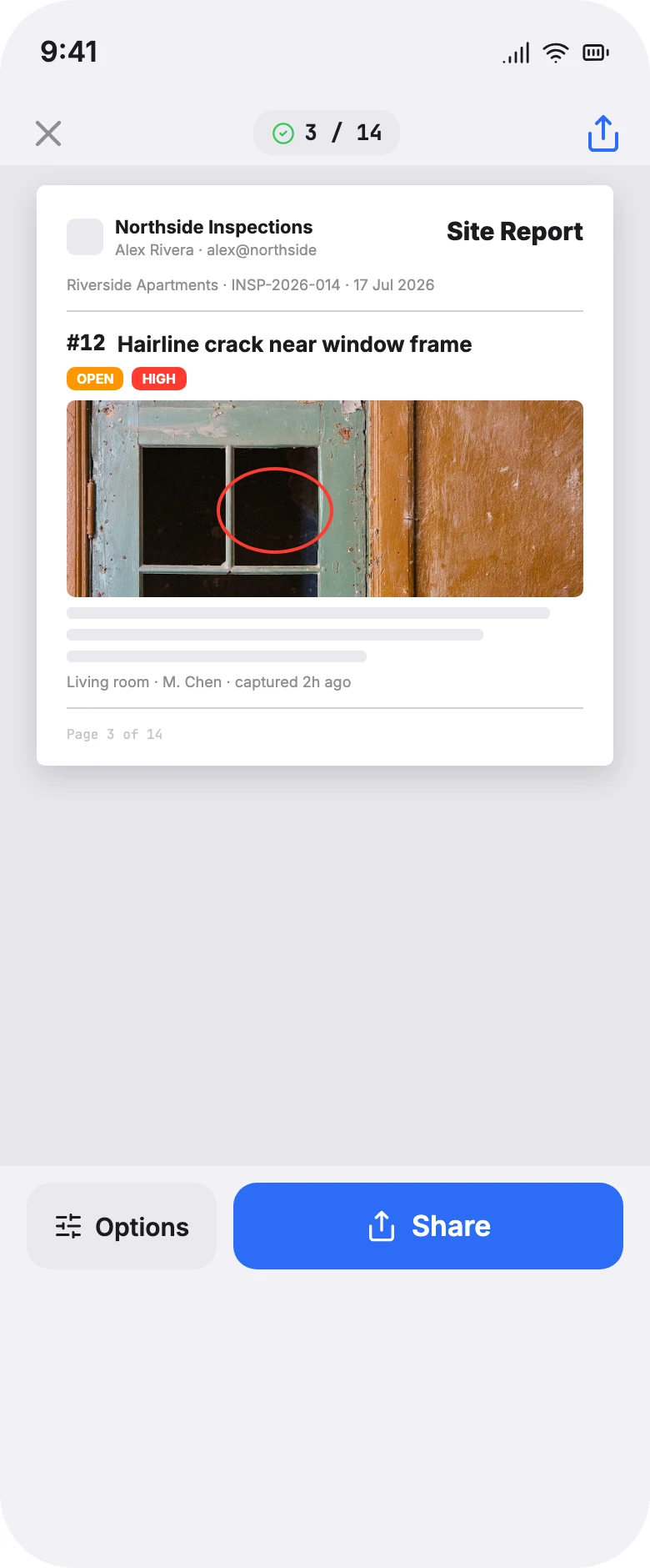 PDF report preview: a branded cover with project details, then numbered issue pages with photos and annotations.